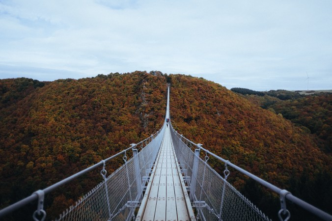 Forest Suspension Bridge
